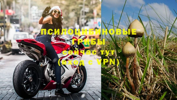 каннабис Абаза