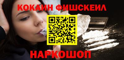 крисы Моздок