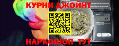 крисы Моздок