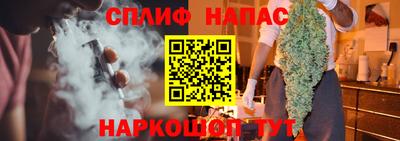 крисы Моздок
