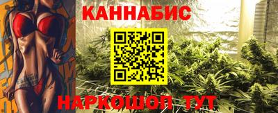 стафф Можга