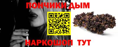 крисы Моздок
