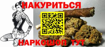 стафф Можга