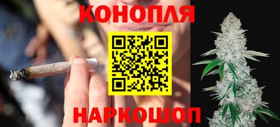 стафф Можга