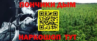 стафф Можга