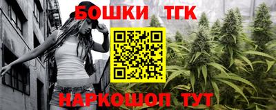 крисы Моздок