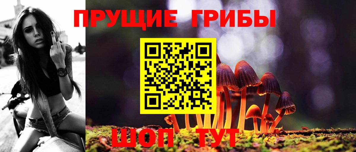 Шахты  Псилоцибиновые грибы Cubensis  как найти   Вход с VPN 