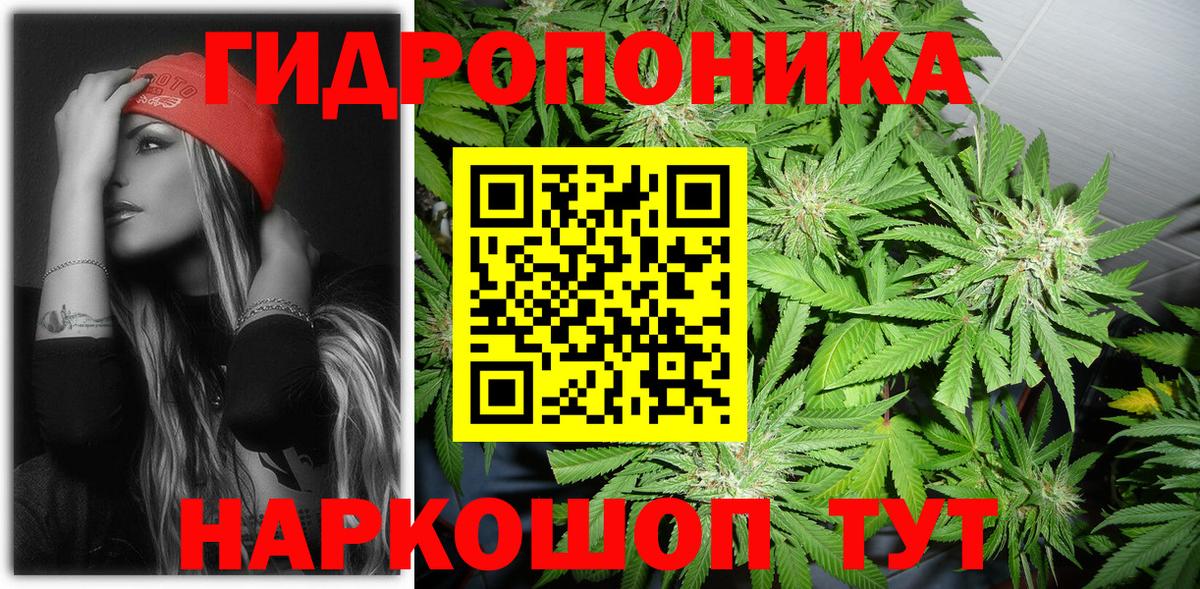 Бошки марихуана планчик  Конопля планчик  Канабис индика  Вход с VPN  Шахты 