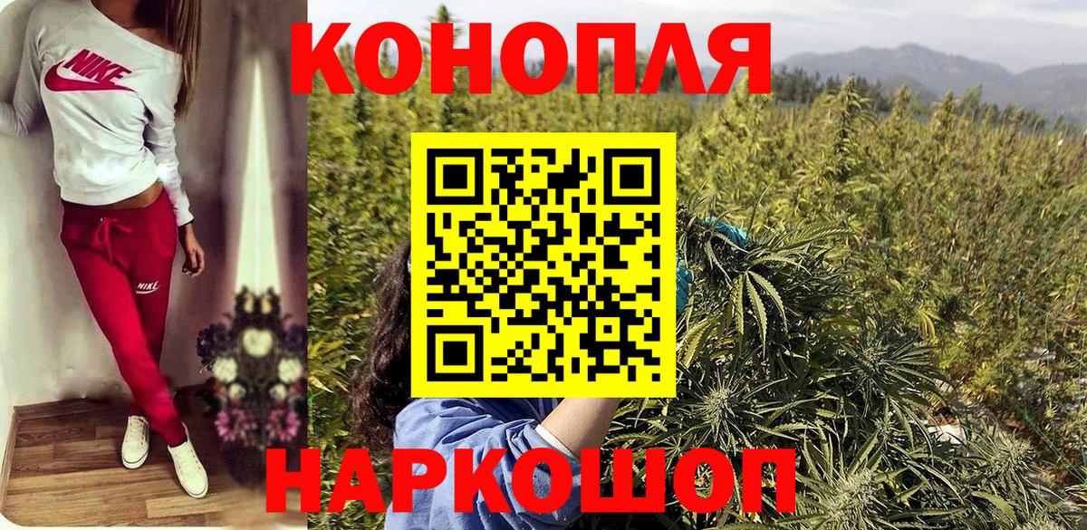 Канабис Шахты